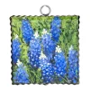 Bluebonnets Mini Gallery Art