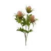 Blush Teasel Spray