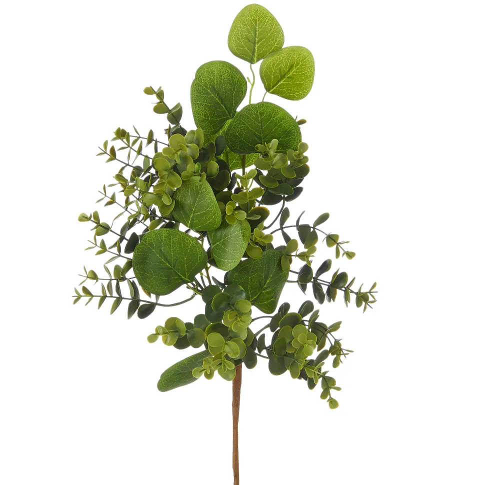Boxwood and Eucalyptus Pick