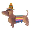 Dress Up Pet, Fiesta Costume