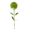 Green Pin Cushion Stem
