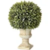 Potted Sage Ball Urn Arrangement, 15"