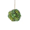 Small Gray and Green Succulent Orb