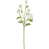 White Ranunculus Spray, 21"